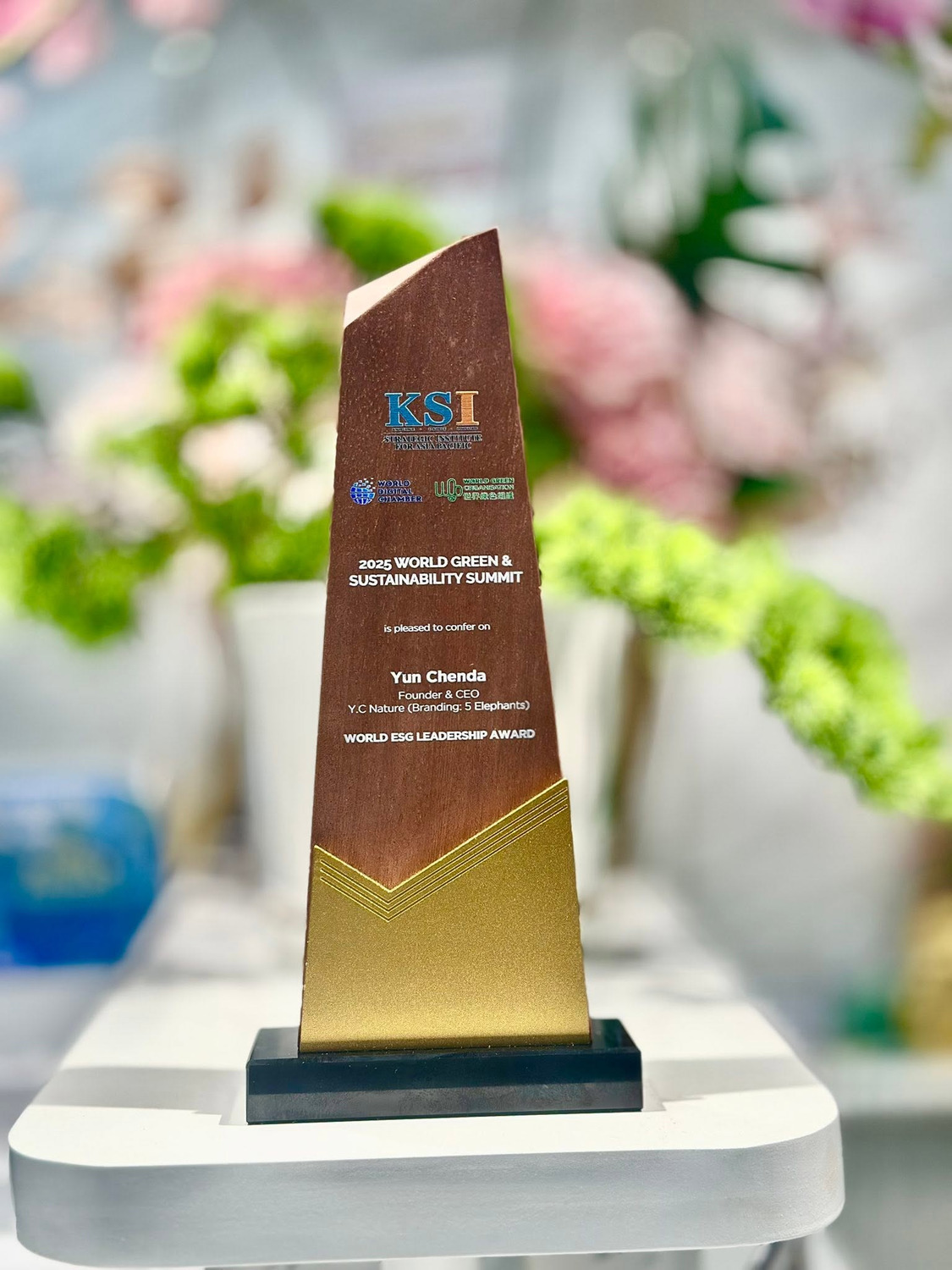 Great ASEAN CSR Business Award 2025 trophy